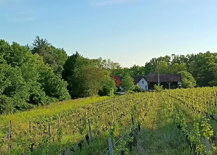 Gite Au Milieu Des Vignes